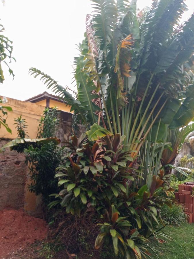 לאורו דה פרייטס Zen Villas - Chales, Bem-Estar E Conexao Com A Natureza מראה חיצוני תמונה